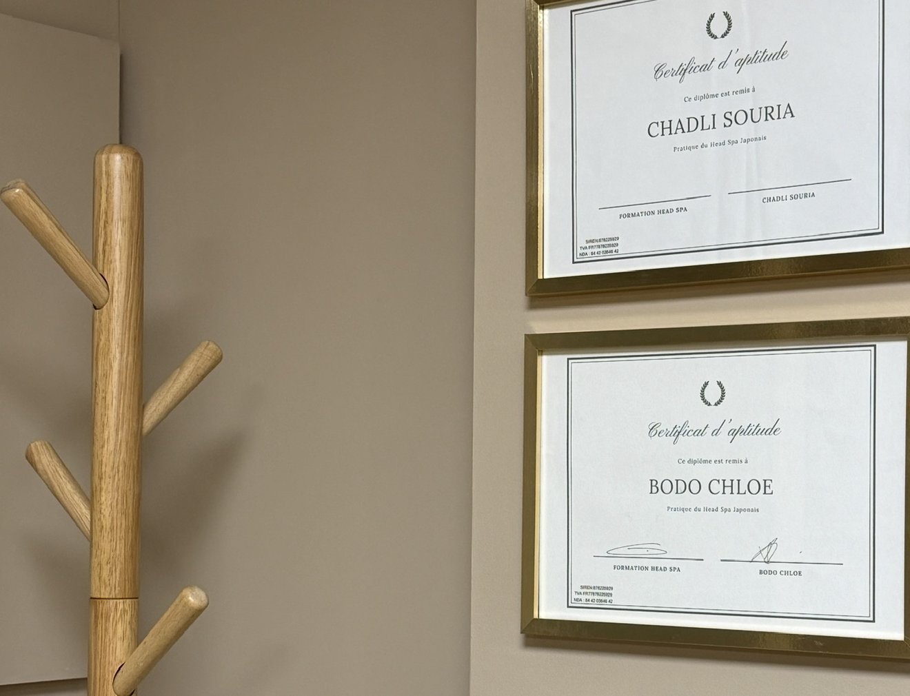 Certificats d'aptitude Head Spa Japonais de l'équipe C&S Nancy
